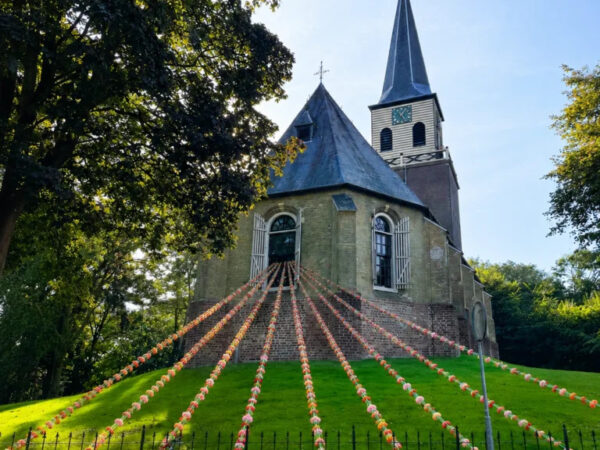 Van haken tot natuur: dorp in ban Wolvega Bloeit_fotocredits Wolvega Bloeit